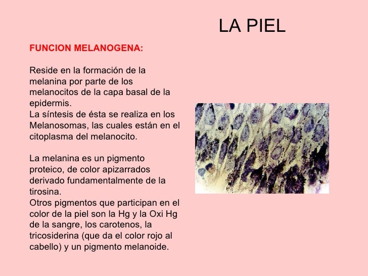 La crema ahromin y. La aplicación a las manchas de pigmento