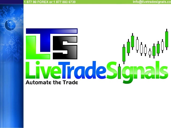 Forex equity management tool