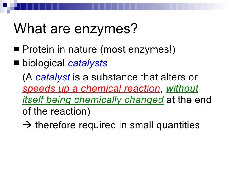 Chapter 5 Enzymes Lesson 1 - Introduction to Enzymes