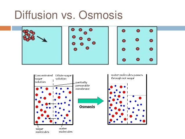 What is simple diffusion?