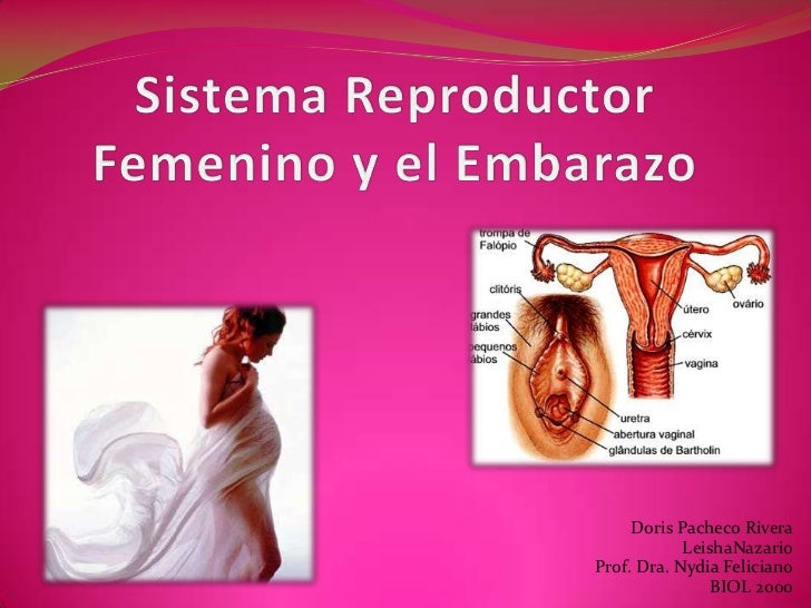el inconformismo femenino en l Las dos razones del inconformismo femenino ellos en cambio el no viene a tiempo a la mesa y la come fria sin decir. el inconformismo femenino en l Las dos razones del inconformismo femenino ellos en cambio el no viene a tiempo a la mesa y la come fria sin decir.