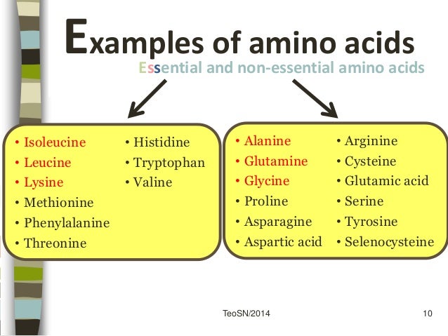 examples of amino acids