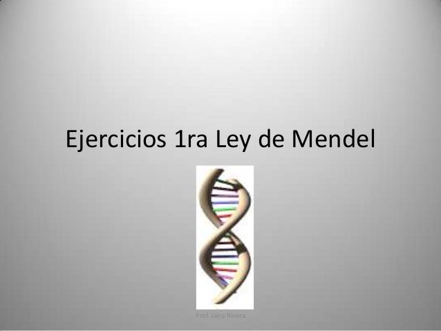 LEY DE MENDEL ley de mendel: