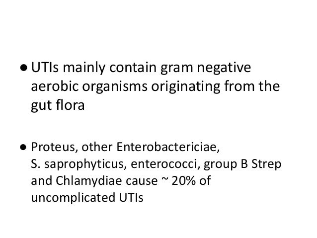 Recommended dosage of cipro for uti Recommended dosage of cipro for uti