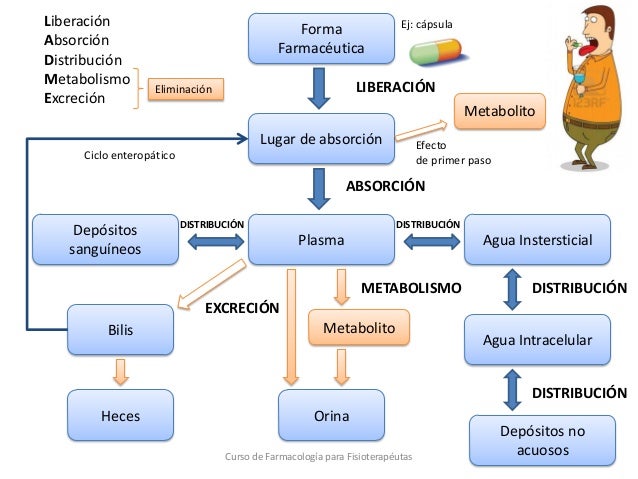 2. farmacocinética y farmacodinamia
