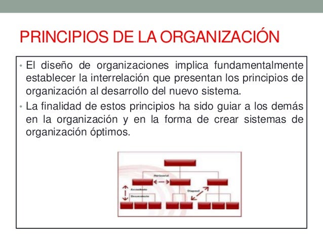 Para Que Sirven Los Principios De La Organizacion es.slideshare.net