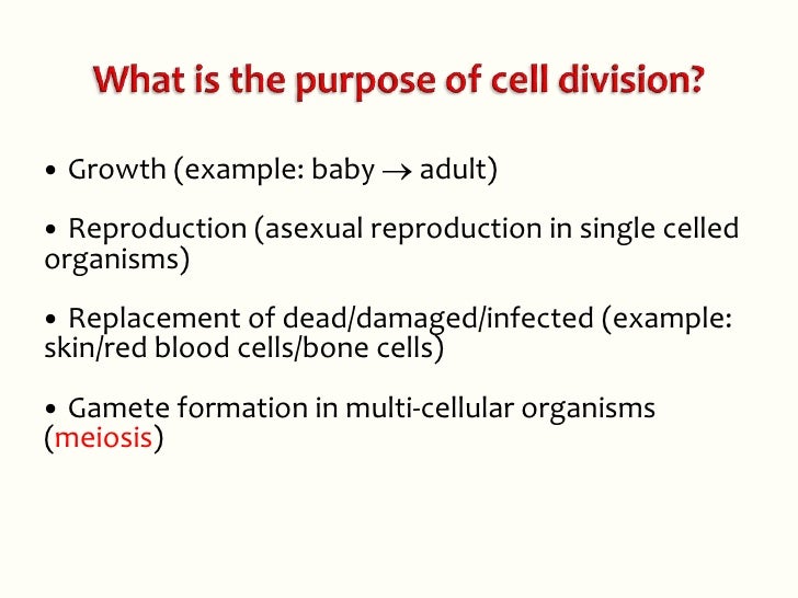2.5 Cell Cycle and Mitosis PPT