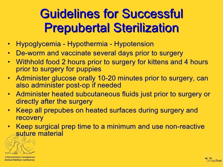 How to Administer Subcutaneous Fluids to a Dog How to Administer Subcutaneous Fluids to a Dog new pictures How to Administer Subcutaneous Fluids to a Dog How to Administer Subcutaneous Fluids to a Dog new pics