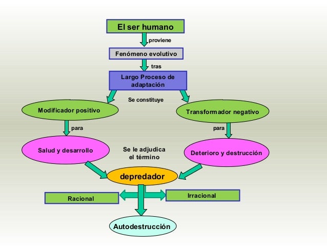 2.aspectos ecològicos de la salud y la enfermedad (1)