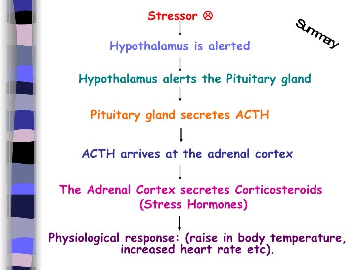 physiological responses 201 why pain relief is important: the physiological response tachycardia and hypertension immunosuppression free radical production hyperglycemia catabolism. physiological responses 201 why pain relief is important: the physiological response tachycardia and hypertension immunosuppression free radical production hyperglycemia catabolism.