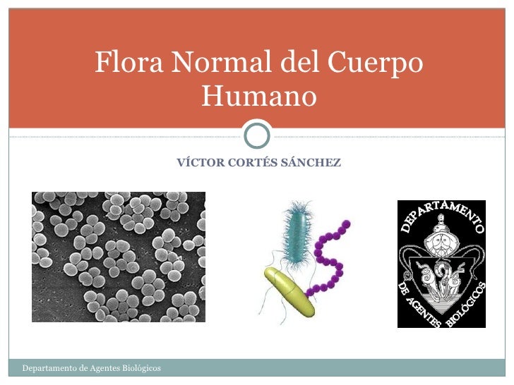 2. flora normal del cuerpo humano