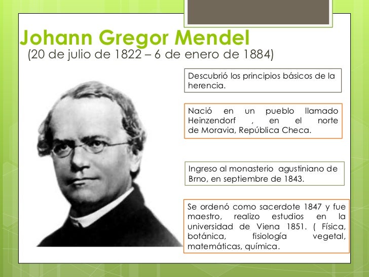 gregor johan mendel essay gregor johan mendel essay