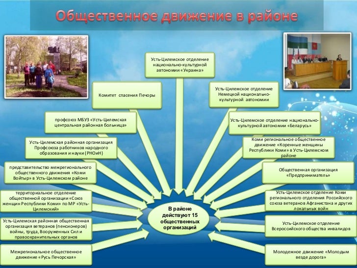 Blog Archives - caninstrukciya