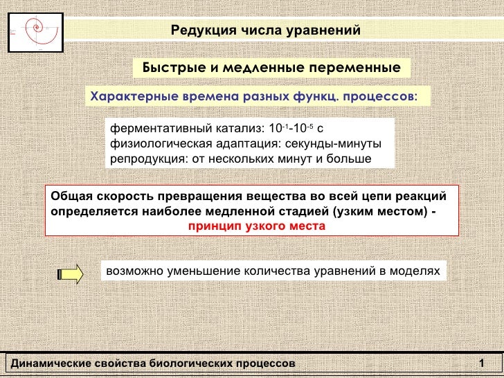 примеры решения японских кроссвордов
