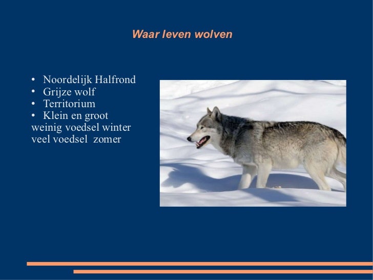 2011 spreekbeurt wolven