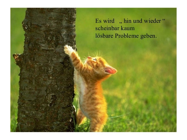 Tierische Neujahrswünsche