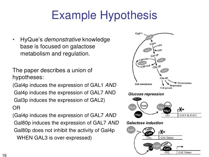 Hypothesis In Thesis