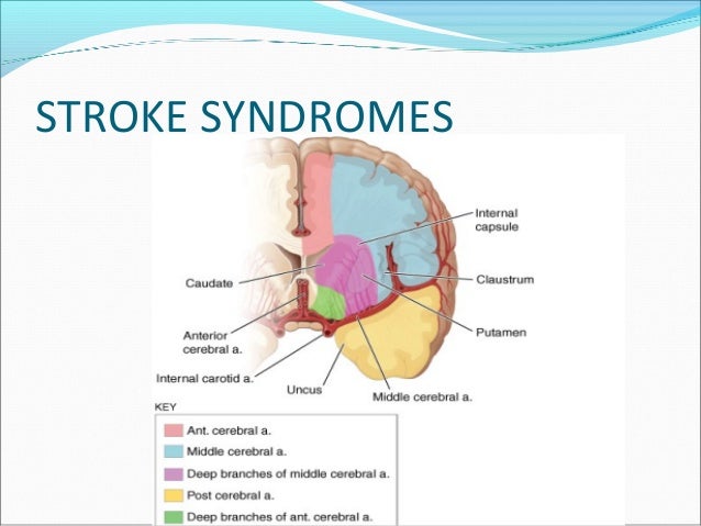 what's a huge stroke stroke patients meals