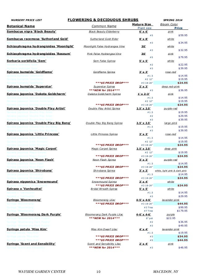 rochester landscaping nursery plants plants price list rochester landscaping nursery plants plants price list