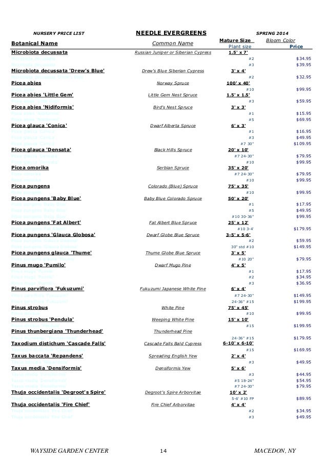 Rochester Landscaping, Nursery Plants Plants Price List