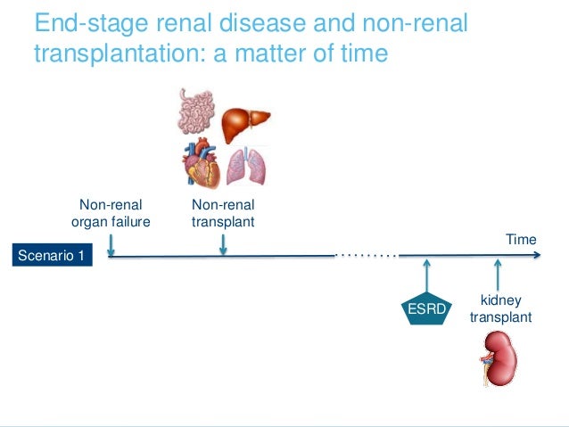 Viagra after kidney transplant