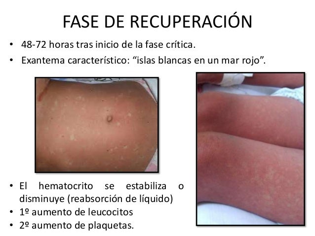 (2015-06-04) Verdades y mentiras sobre el dengue (ppt)