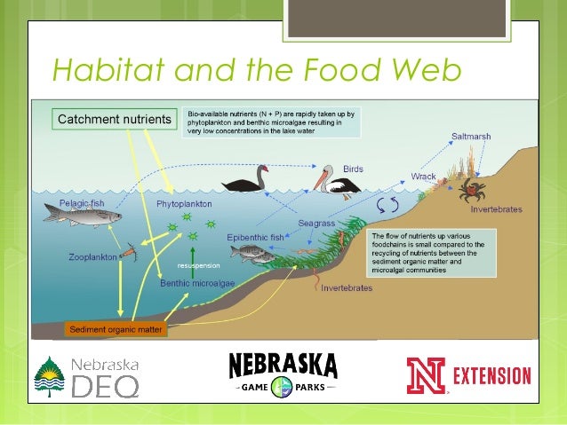 20150312 lake pond management nnts