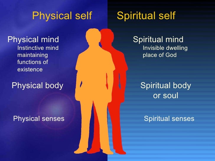 203 Principle of creation part 3 WH