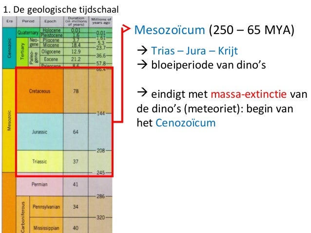20 de geologische tijdschaal