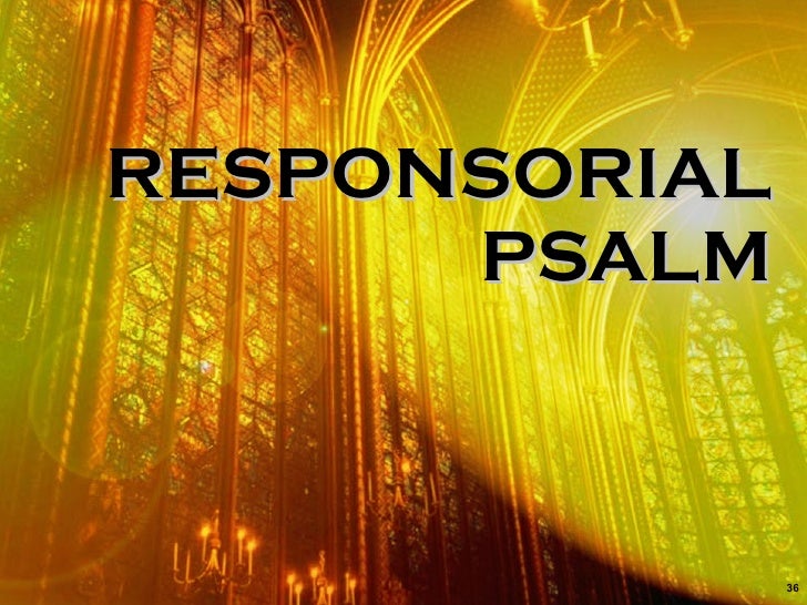 20th Sunday In Ordinary Time Updated