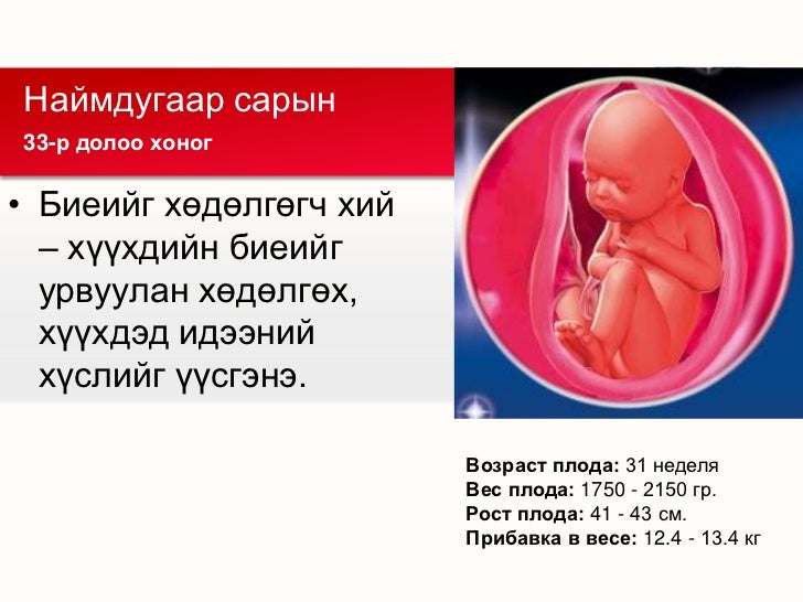 Предмет, задачи и методы возрастной физиологии - Лекция - Физиология Подготовка к