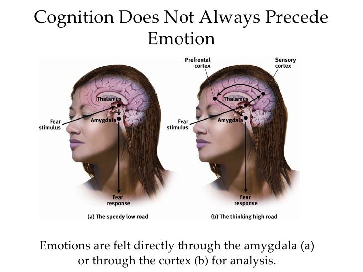 to what extent does cognition controls emotion It also illuminates why the impact of emotion is so wide-ranging – it is not possible to impact emotion without affecting perception and cognition perceptual and executive competition objects in the environment compete for limited perceptual processing capacity and control of behavior. to what extent does cognition controls emotion It also illuminates why the impact of emotion is so wide-ranging – it is not possible to impact emotion without affecting perception and cognition perceptual and executive competition objects in the environment compete for limited perceptual processing capacity and control of behavior.