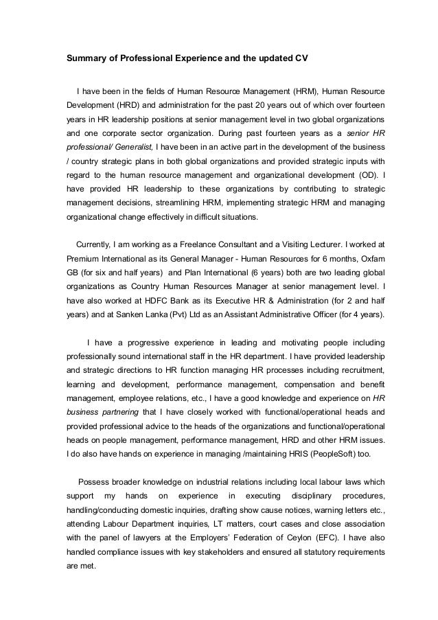 professional experience summary