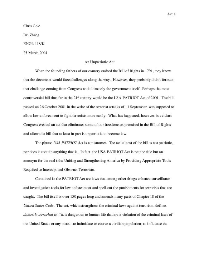 patriot essay patriot essay