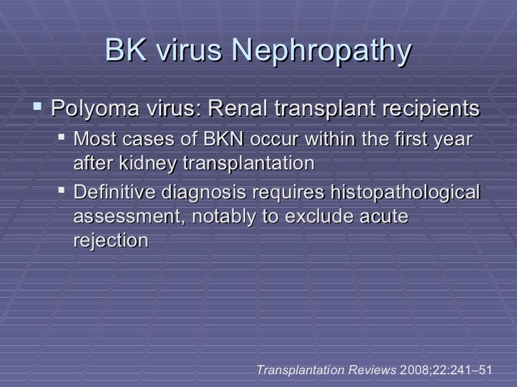 2 bk virus infection post renal transplant