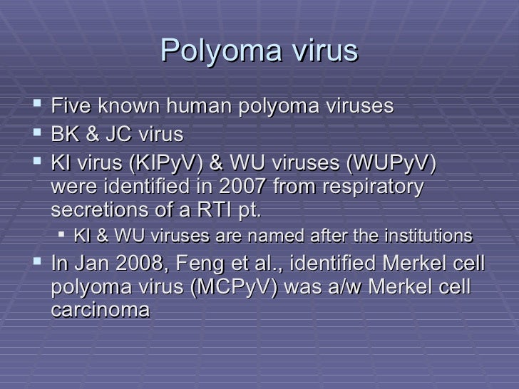 2 bk virus infection post renal transplant