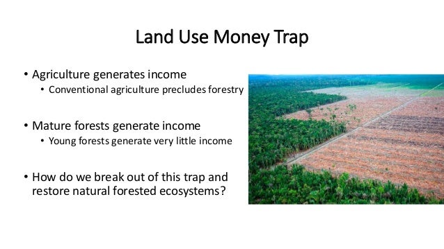 Breaking the Deadlock Between Forestry and Agriculture