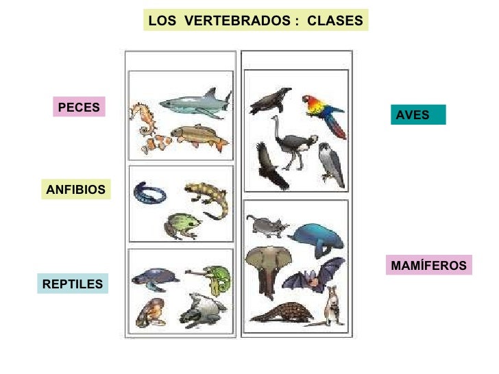 tema 1 los seres vivos 2 eso