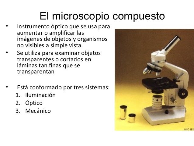 Biología - Microscopio