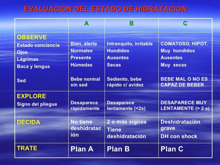 Plan De Hidratación Abc En Adultos