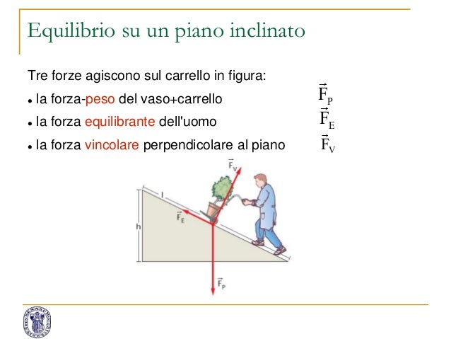 Come Si Calcola La Reazione Vincolare Su Un Piano Inclinato 2 principi dinamica