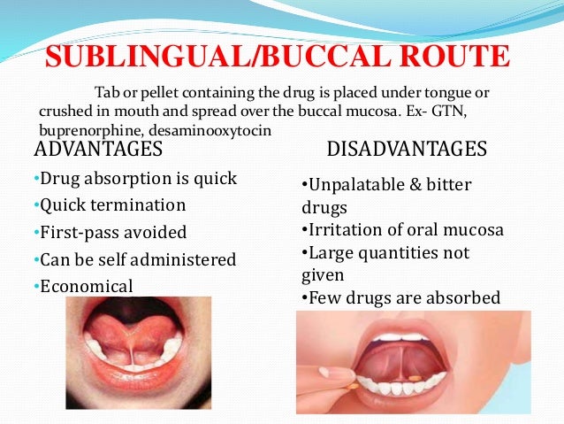 Routes of Administration Pharmacology - How Long To Hold Sublingual Under Tongue