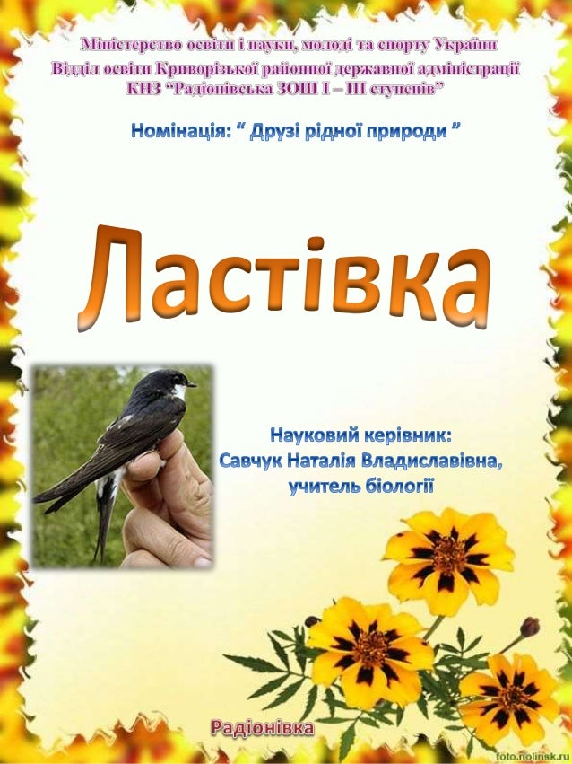 1.Вступ 1
2.Характеристика ряду Горобцеподібних,
родини Ластівкові. 4
3.Харчування ластівок. 5
4.Міграційна поведінка ласт...