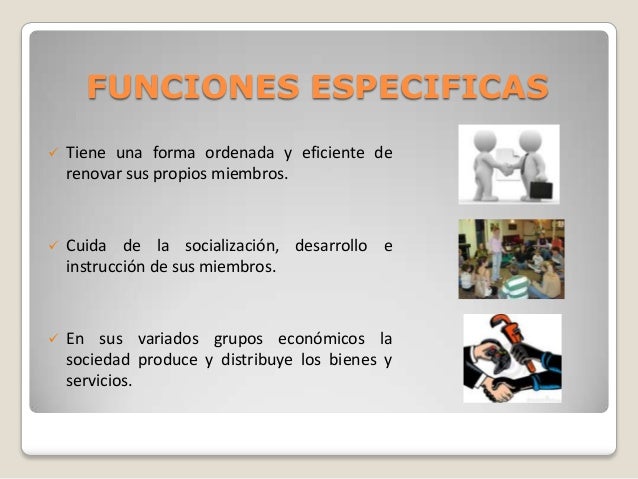 3.1 sociedad y organizacion social