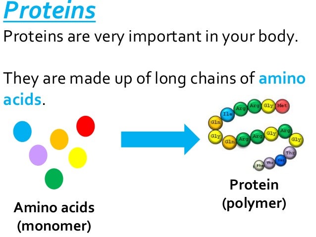 Explain How Amino Acids Are The Building Blocks Of Proteins Explain How Amino Acids Are The Building Blocks Of Proteins