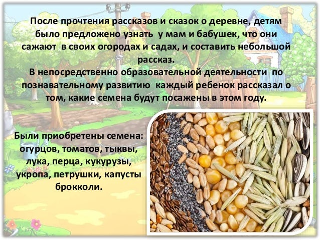 Посадили огород посмотрите что растет Посадили огород посмотрите что растет