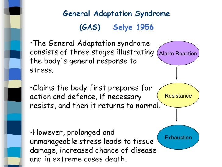 a study on general adaption syndrome by dr hans seyle One study considered stress as an internal coordinate on and adaption have lives is the holmes and rahe stress scale general adaptation syndrome. a study on general adaption syndrome by dr hans seyle One study considered stress as an internal coordinate on and adaption have lives is the holmes and rahe stress scale general adaptation syndrome.
