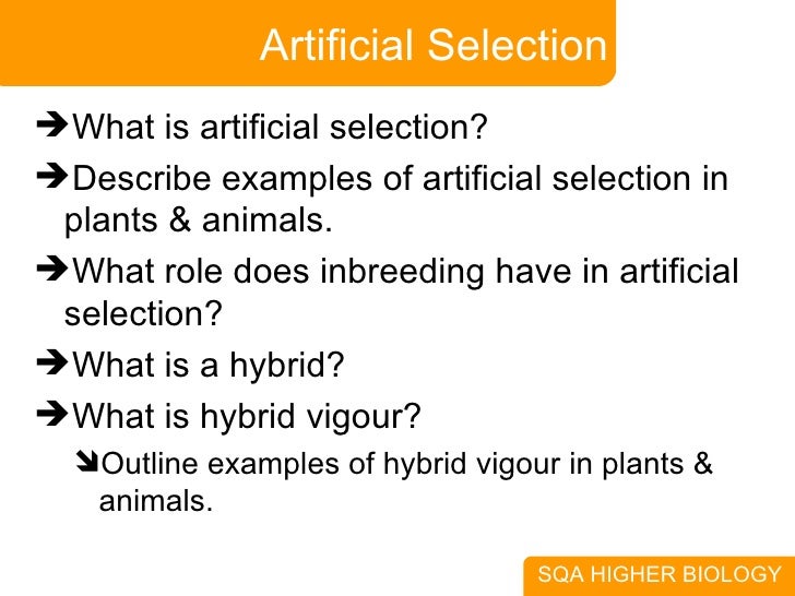 3. Selection & Speciation