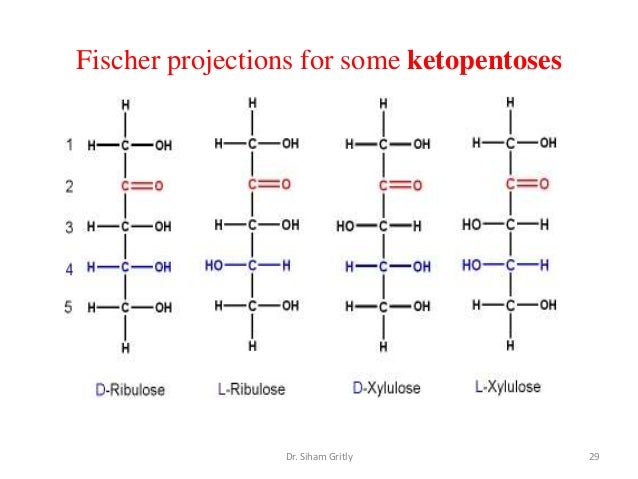 fischer projection of d glucose 617 in a simple stick model (fischer projection) and how it is closed into a ring an aldose sugar has an aldehyde group (eg, the c1 of d-glucose seen clearly. fischer projection of d glucose 617 in a simple stick model (fischer projection) and how it is closed into a ring an aldose sugar has an aldehyde group (eg, the c1 of d-glucose seen clearly.