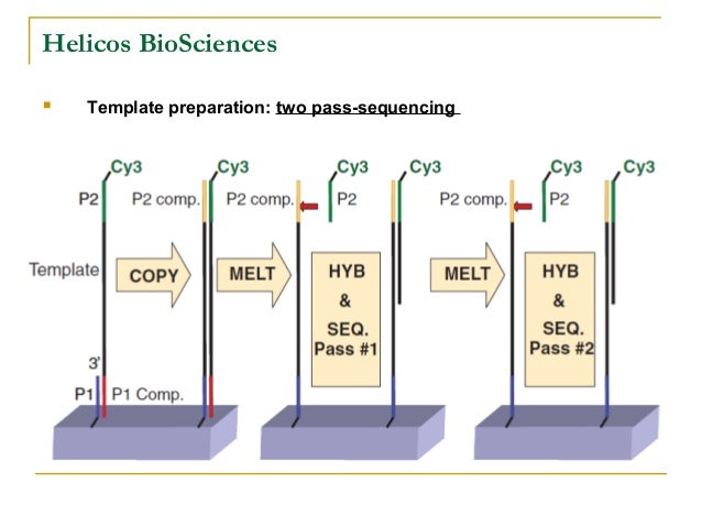 technology sequence analysis technology sequence analysis